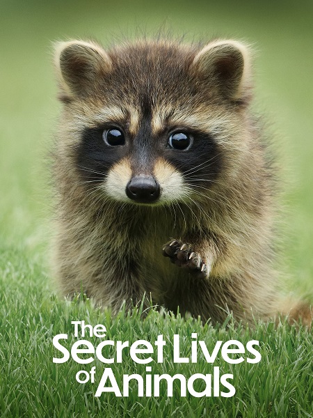 مسلسل The Secret Lives of Animals الموسم الاول مترجم كامل